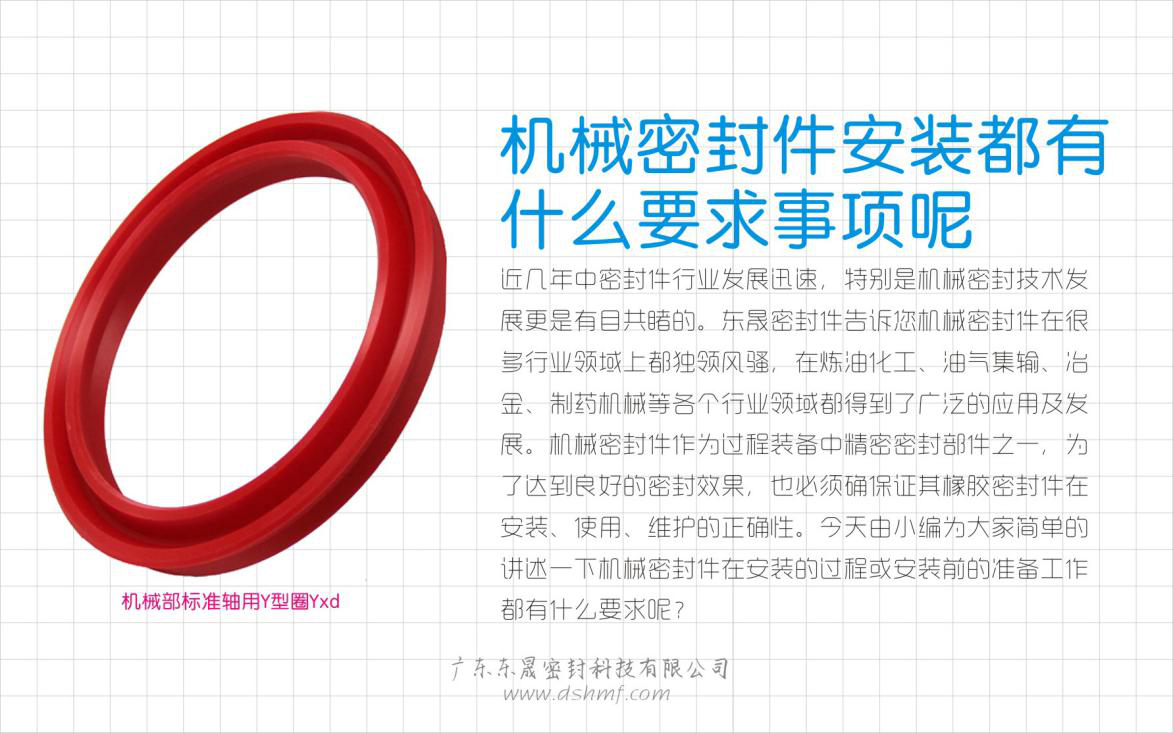 機(jī)械密封圈安裝都有什么要求事項(xiàng)呢？