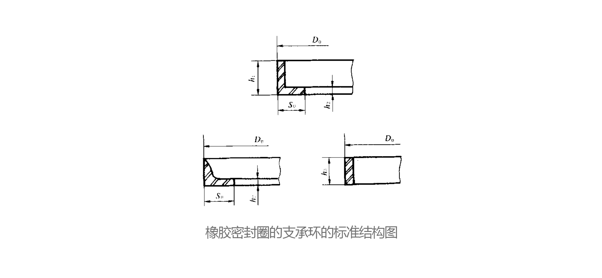 支承環(huán)的標準結(jié)構(gòu)圖