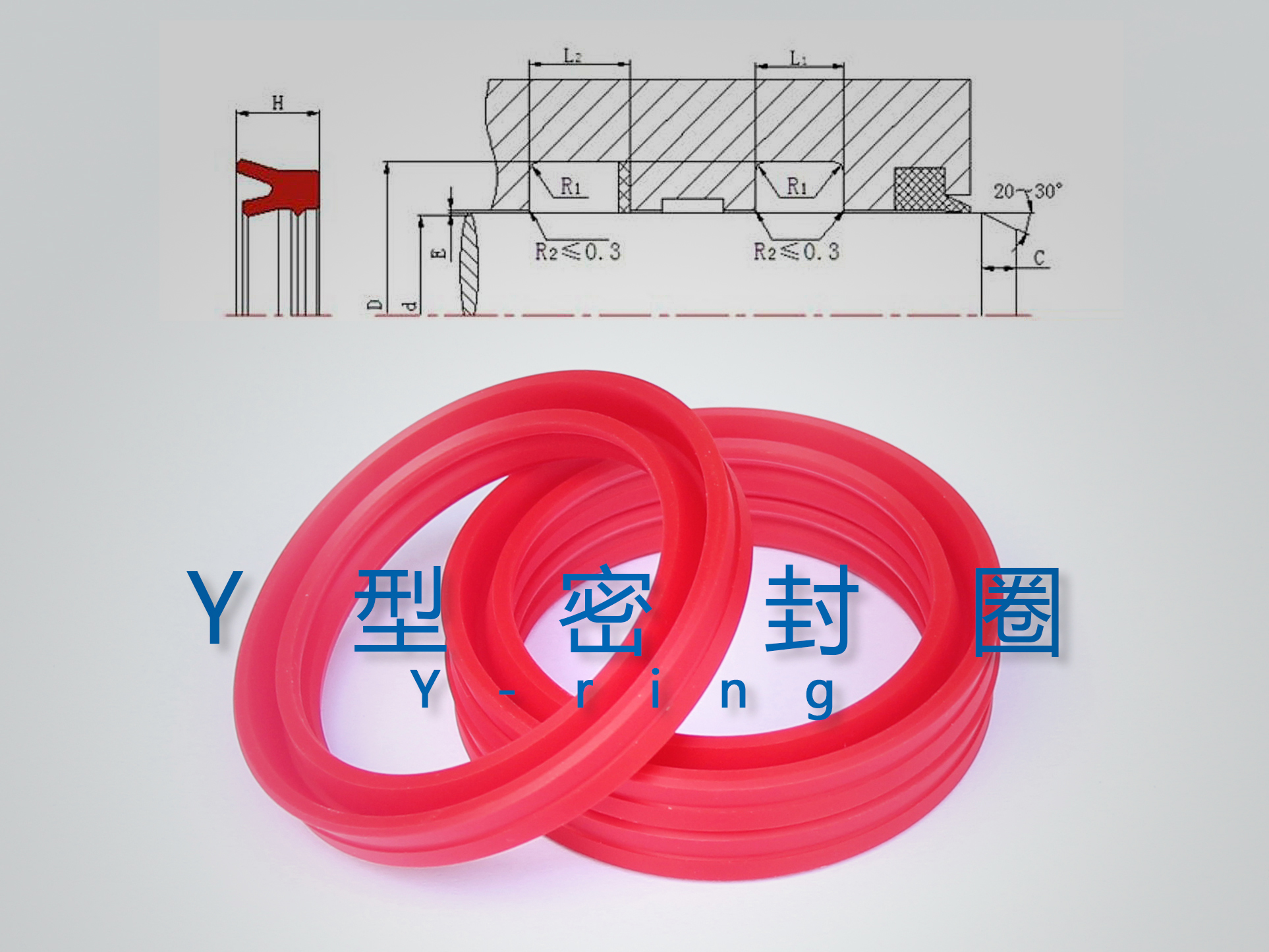 Y型密封圈（密封件、油封）與截面結(jié)構(gòu)產(chǎn)品圖